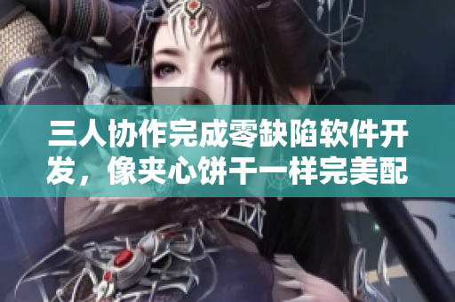 三人協(xié)作完成零缺陷軟件開(kāi)發(fā)，像夾心餅干一樣完美配合