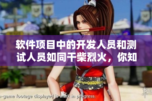 軟件項目中的開發(fā)人員和測試人員如同干柴烈火，你知道原因嗎？