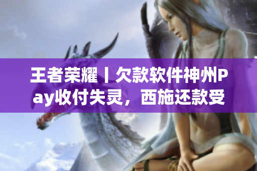 王者榮耀丨欠款軟件神州Pay收付失靈，西施還款受阻！