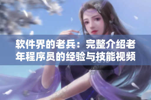 軟件界的老兵：完整介紹老年程序員的經(jīng)驗與技能視頻合集