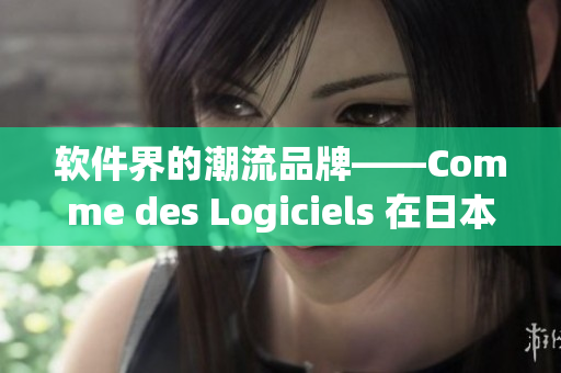 軟件界的潮流品牌——Comme des Logiciels 在日本引發(fā)熱潮