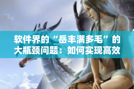軟件界的“岳豐滿多毛”的大瓶頸問(wèn)題：如何實(shí)現(xiàn)高效快速的數(shù)據(jù)處理