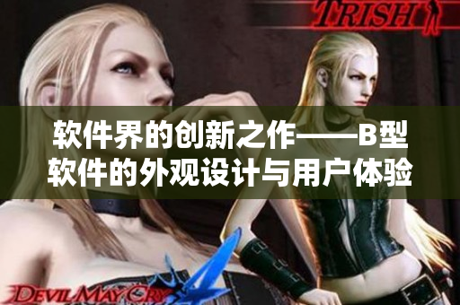 軟件界的創(chuàng)新之作——B型軟件的外觀設(shè)計(jì)與用戶(hù)體驗(yàn)