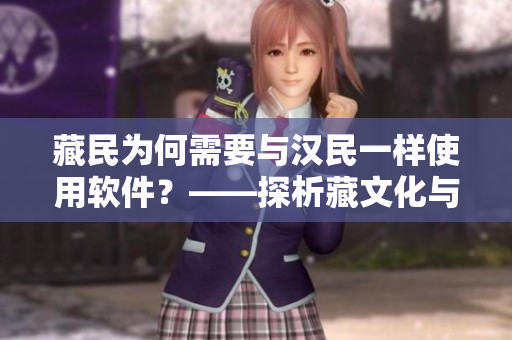 藏民為何需要與漢民一樣使用軟件？——探析藏文化與軟件應(yīng)用現(xiàn)狀