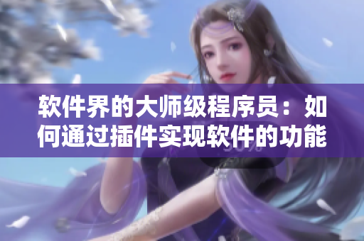 軟件界的大師級(jí)程序員：如何通過(guò)插件實(shí)現(xiàn)軟件的功能擴(kuò)展與優(yōu)化？