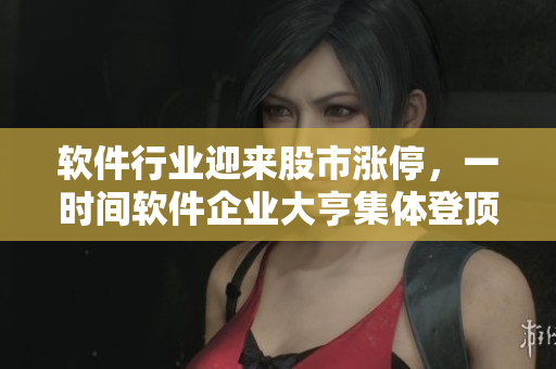 軟件行業(yè)迎來(lái)股市漲停，一時(shí)間軟件企業(yè)大亨集體登頂