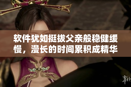 軟件猶如挺拔父親般穩(wěn)健緩慢，漫長的時間累積成精華，這是它本質(zhì)的魅力