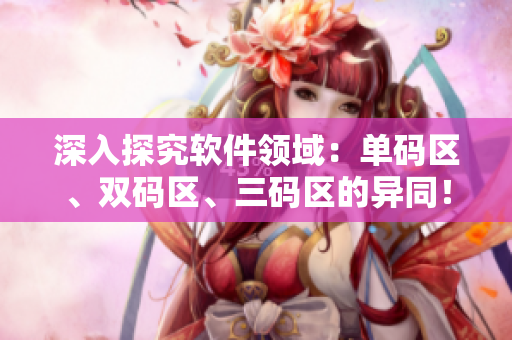 深入探究軟件領(lǐng)域：單碼區(qū)、雙碼區(qū)、三碼區(qū)的異同！