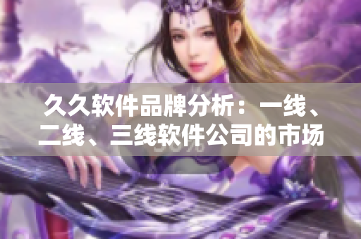 久久軟件品牌分析：一線、二線、三線軟件公司的市場競爭力分析