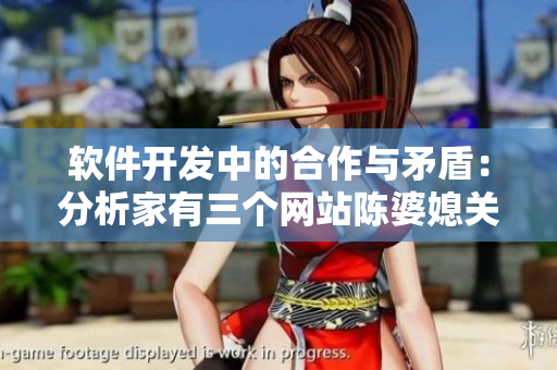 軟件開發(fā)中的合作與矛盾：分析家有三個(gè)網(wǎng)站陳婆媳關(guān)系的啟示