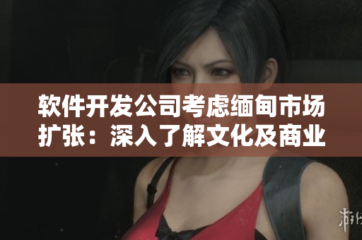 軟件開發(fā)公司考慮緬甸市場擴張：深入了解文化及商業(yè)機遇