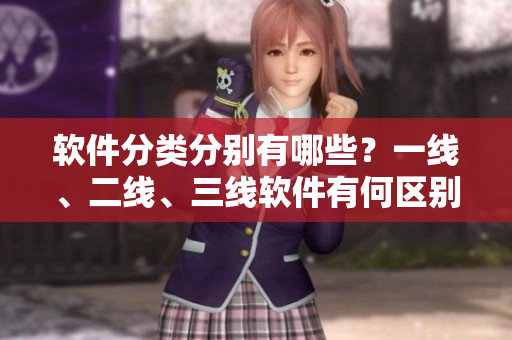 軟件分類分別有哪些？一線、二線、三線軟件有何區(qū)別？——軟件分類詳解