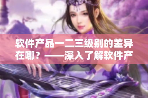 軟件產(chǎn)品一二三級別的差異在哪？——深入了解軟件產(chǎn)品等級劃分