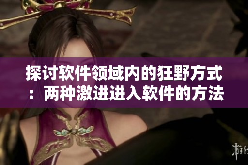 探討軟件領(lǐng)域內(nèi)的狂野方式：兩種激進(jìn)進(jìn)入軟件的方法！