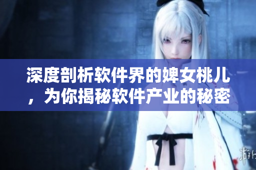深度剖析軟件界的婢女桃兒，為你揭秘軟件產(chǎn)業(yè)的秘密