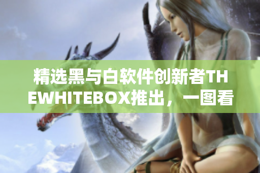 精選黑與白軟件創(chuàng)新者THEWHITEBOX推出，一圖看清軟件生態(tài)！