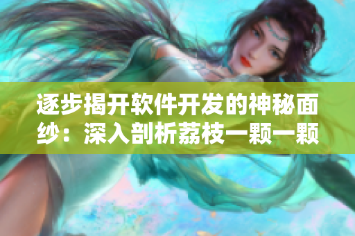 逐步揭開軟件開發(fā)的神秘面紗：深入剖析荔枝一顆一顆的推進(jìn)過程