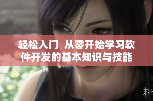輕松入門  從零開始學(xué)習(xí)軟件開發(fā)的基本知識與技能