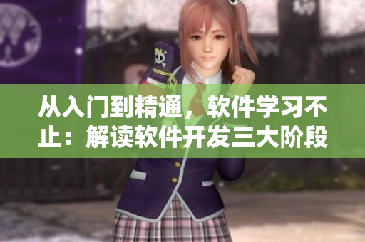 從入門到精通，軟件學習不止：解讀軟件開發(fā)三大階段