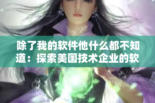 除了我的軟件他什么都不知道：探索美國(guó)技術(shù)企業(yè)的軟件生態(tài)