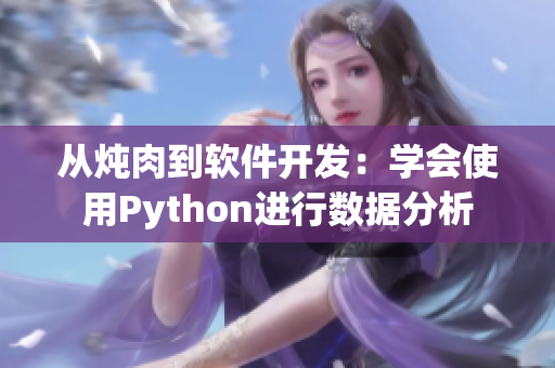從燉肉到軟件開發(fā)：學(xué)會使用Python進(jìn)行數(shù)據(jù)分析