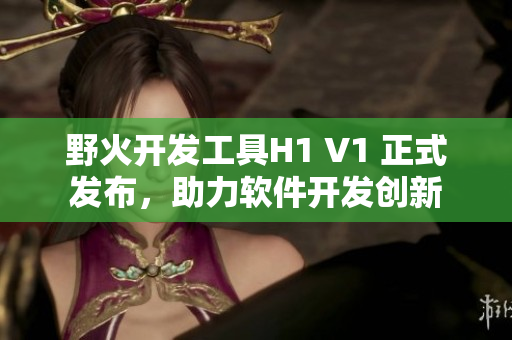 野火開發(fā)工具H1 V1 正式發(fā)布，助力軟件開發(fā)創(chuàng)新