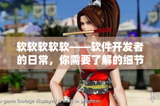 軟軟軟軟軟——軟件開(kāi)發(fā)者的日常，你需要了解的細(xì)節(jié)！