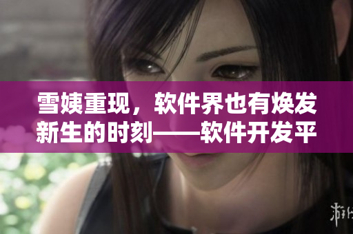 雪姨重現(xiàn)，軟件界也有煥發(fā)新生的時(shí)刻——軟件開發(fā)平臺(tái)探秘