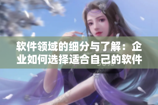 軟件領(lǐng)域的細(xì)分與了解：企業(yè)如何選擇適合自己的軟件？