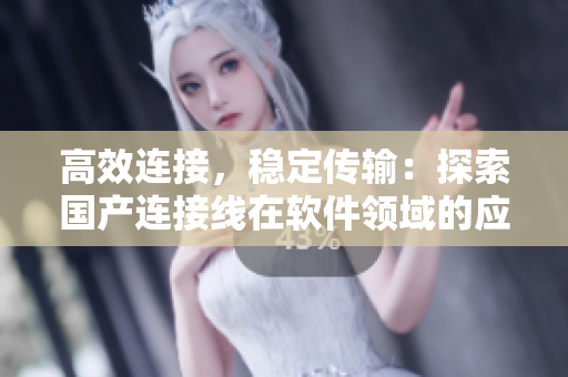 高效連接，穩(wěn)定傳輸：探索國產(chǎn)連接線在軟件領(lǐng)域的應(yīng)用前景