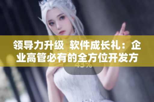 領(lǐng)導力升級  軟件成長禮：企業(yè)高管必有的全方位開發(fā)方案