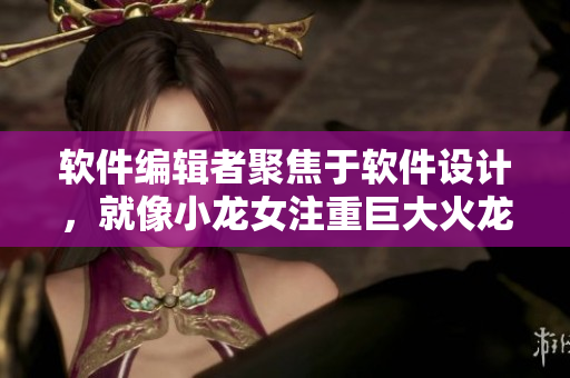 軟件編輯者聚焦于軟件設(shè)計，就像小龍女注重巨大火龍槍一樣
