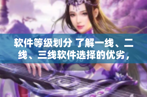 軟件等級(jí)劃分 了解一線、二線、三線軟件選擇的優(yōu)劣，并避免質(zhì)量風(fēng)險(xiǎn)