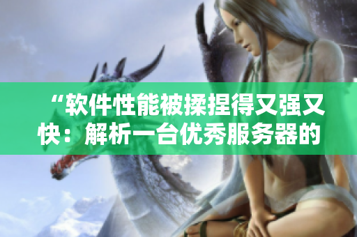 “軟件性能被揉捏得又強又快：解析一臺優(yōu)秀服務器的秘密”