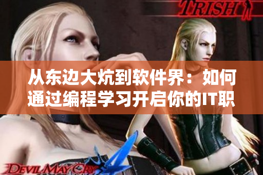 從東邊大炕到軟件界：如何通過編程學習開啟你的IT職業(yè)之路？
